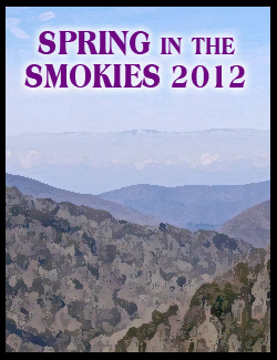 spring in the Smokies